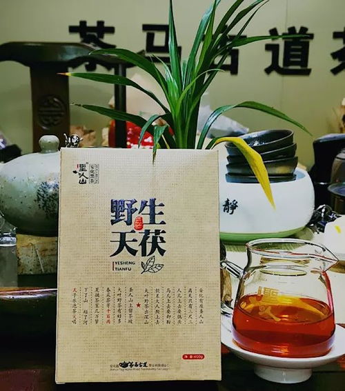 新中国成立七十年 推动益阳发展的十大黑茶品牌企业之 茶马古道